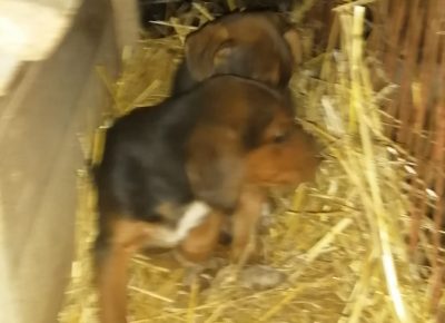 IMG202202041711241644429652