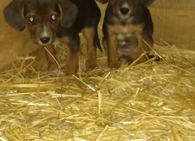 IMG202202041711311644429652