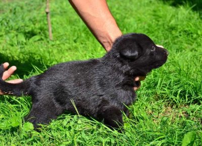 viberimage102202191119102681645394827