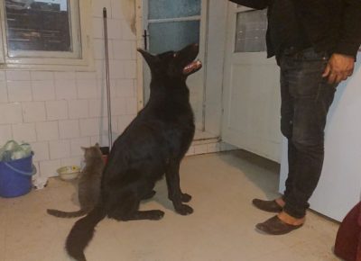 viberimage202202191119089871645394827