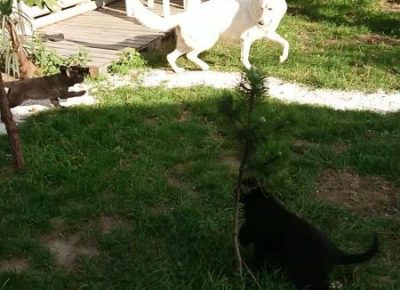 viberimage202202191119097281645394828