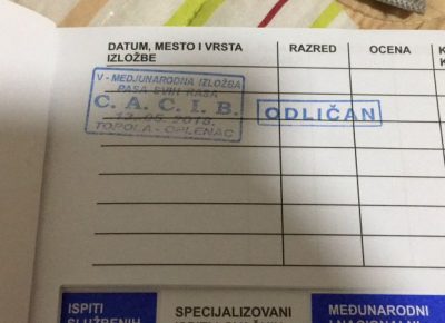 viberimage202202191119098231645394828