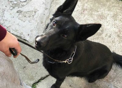 viberimage202202191119104571645394828