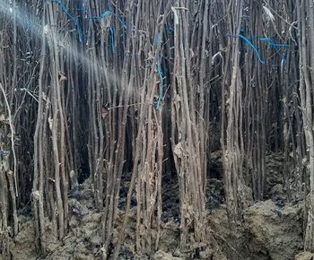 viberslika20220210092805305manja11645082542