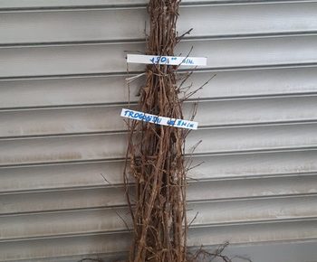 viberslika20220210092805305manja1645082541