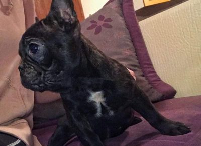 viberslika202202141919208571645387565