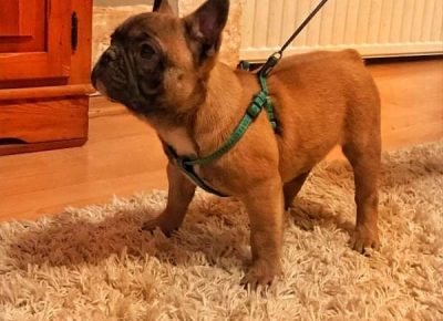 viberslika202202141919343711645387569