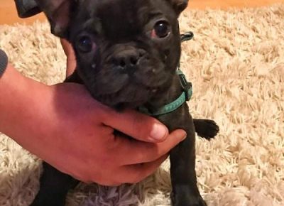 viberslika202202141919505291645387572