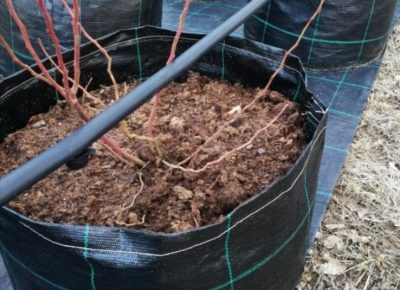 viberslika202202141955219311645281916