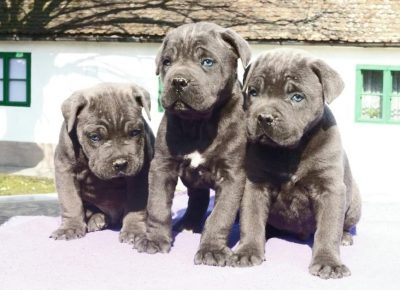 12746465277126466032281674656111825176120641n1646402449