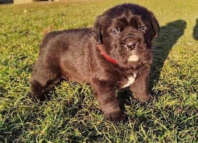 1730231406808588866068029170701083186408732n1646572349