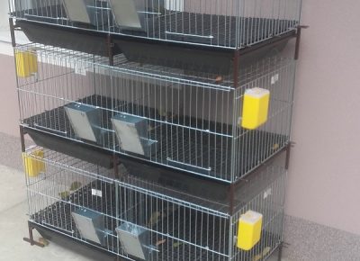 201810241316341646413416