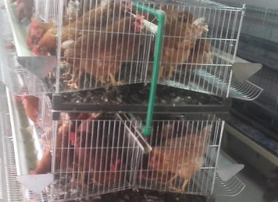 201811221153121646172809