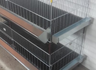 201901231150581646413421