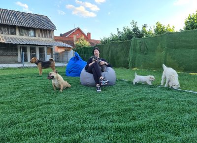 202106131929171647634784