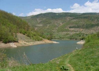 202203031715231646324525