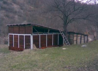 202203031715471646324496