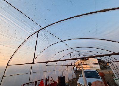 202203221722351648670494