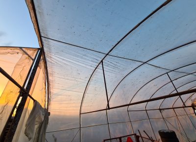 202203221722381648670494