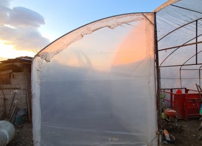 202203221722451648670458