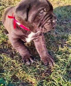 24826222410837883288310231901572027310447025n1646572349