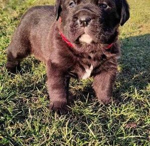 2592338193932718225677015123999964841952921n1646572349