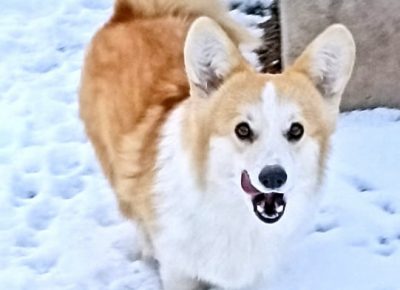 2720246343268635527034358595503512364858151n1647634513