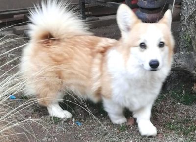 2756635237205825156142102531713658666907054n1647634513