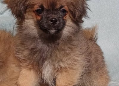 27581169549545151446646377442321039497982748n1647638555