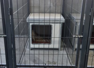 3.202203141210171647634953