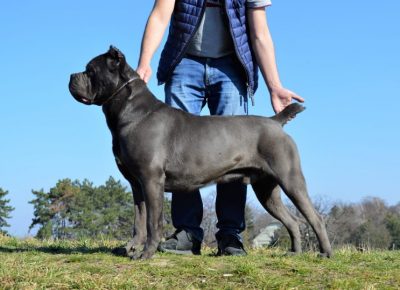 427357578311173874190786967576540492050739441n1646402450