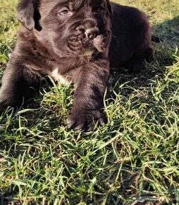 95888430431686360867117465783082093533319656n1646572350