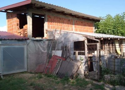 IMG8d4c9d8a06c66f126877d03fb82a734cV1648567692