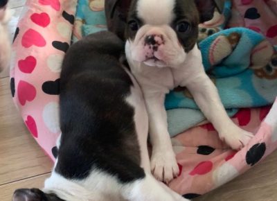 Screenshot101646411078