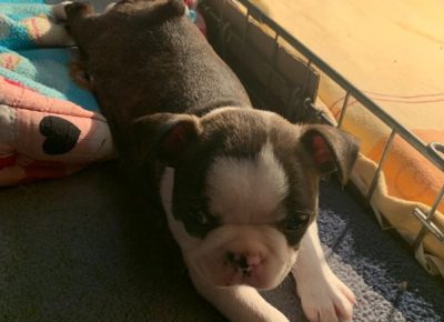 Screenshot111646411078