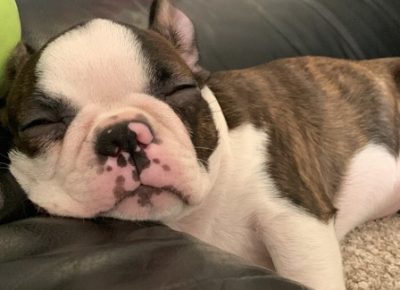 Screenshot11646411076