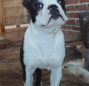 Screenshot11648240787