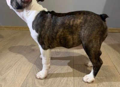 Screenshot121646411079