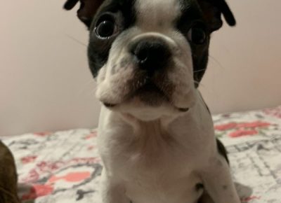 Screenshot21646411076