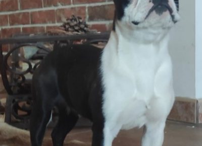 Screenshot21648240787