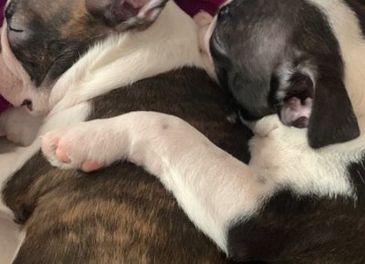 Screenshot31646411077