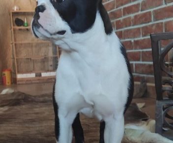 Screenshot31648240788