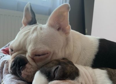 Screenshot41646411078