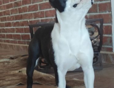 Screenshot41648240788