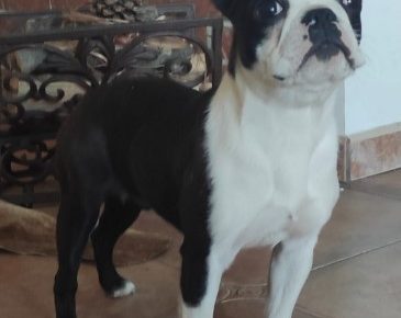 Screenshot51648240788