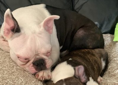 Screenshot61646411078