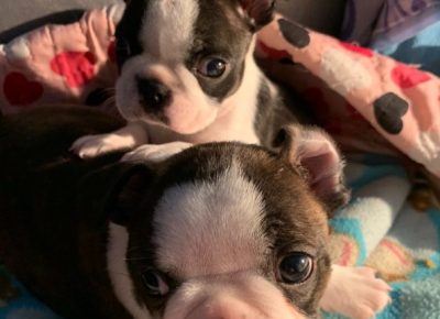 Screenshot81646411079