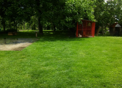 Screenshot81647127768