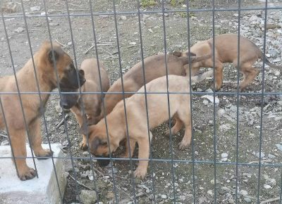 viberimage202203151001002041647351815