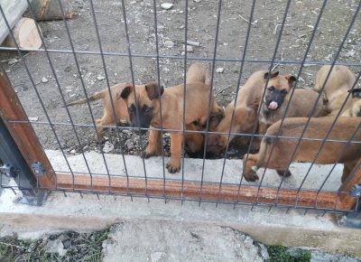 viberimage202203151001003481647351815